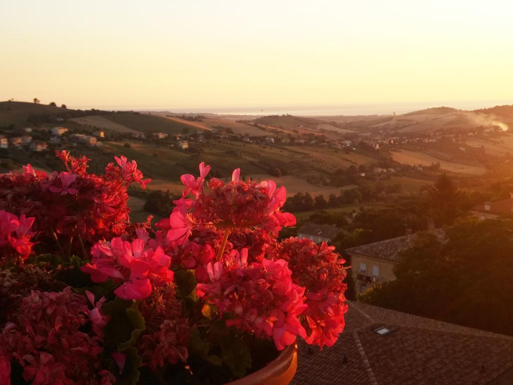 B&B Le Terrazze Fermo Bagian luar foto